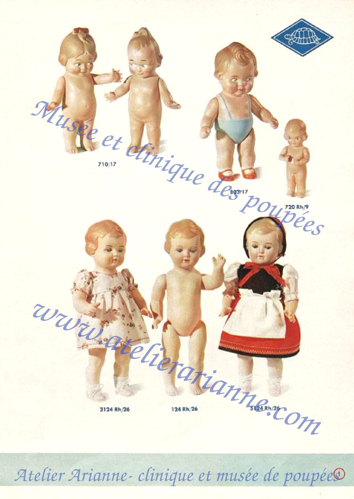 Page du catalogue Schildkr&ouml;t-Puppen des ann&eacute;es 1950 pr&eacute;sentant plusieurs petits mod&egrave;les de poup&eacute;es et de baigneurs. On y voit en haut deux petits baigneurs nus, une version habill&eacute;e avec culotte bleue et chaussures rouges, ainsi qu&rsquo;un tr&egrave;s petit poupon. En bas, la page pr&eacute;sente trois poup&eacute;es : une poup&eacute;e en robe claire fleurie, une version non habill&eacute;e, et une poup&eacute;e en costume traditionnel rouge, noir et blanc.