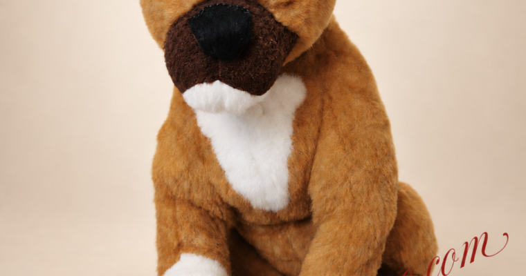 Réparation de peluche : le boxer d’enfance de Vivi