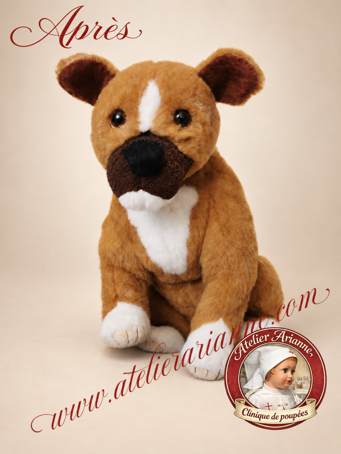 Réparation de peluche : le boxer d’enfance de Vivi